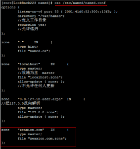 自建DNS服务,实现双DNS服务器主从复制、子域授权、转发、智能解析等效果